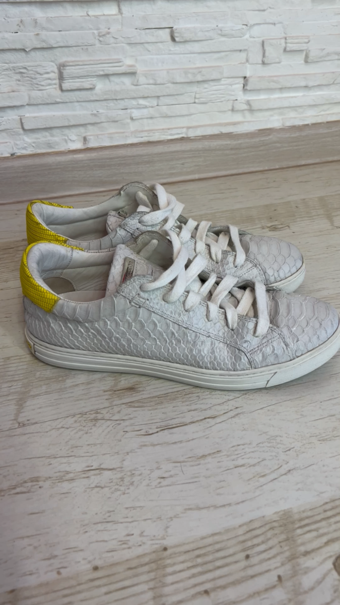 Sneakers Outlet Dsquared Shoes 219 Dsquared2 Tenis Club Phyton