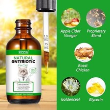Antibiotics for Cats, Natural Antibiotic Pet Supplements Supports Immune  Cats