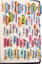 DIVERSEBEE Laminated Bible Tabs (Large Print, Easy to Apply), Study Diverse 