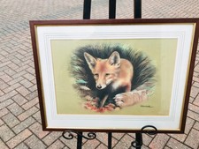 JOEL KIRK FOX PICTURE