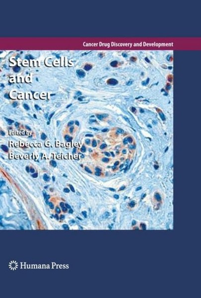 Stem Cells And Cancer Rebecca G. Bagley-image