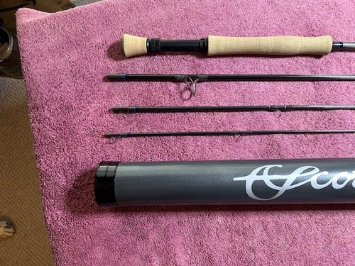 Scott 10wt 10 Weight 9'0