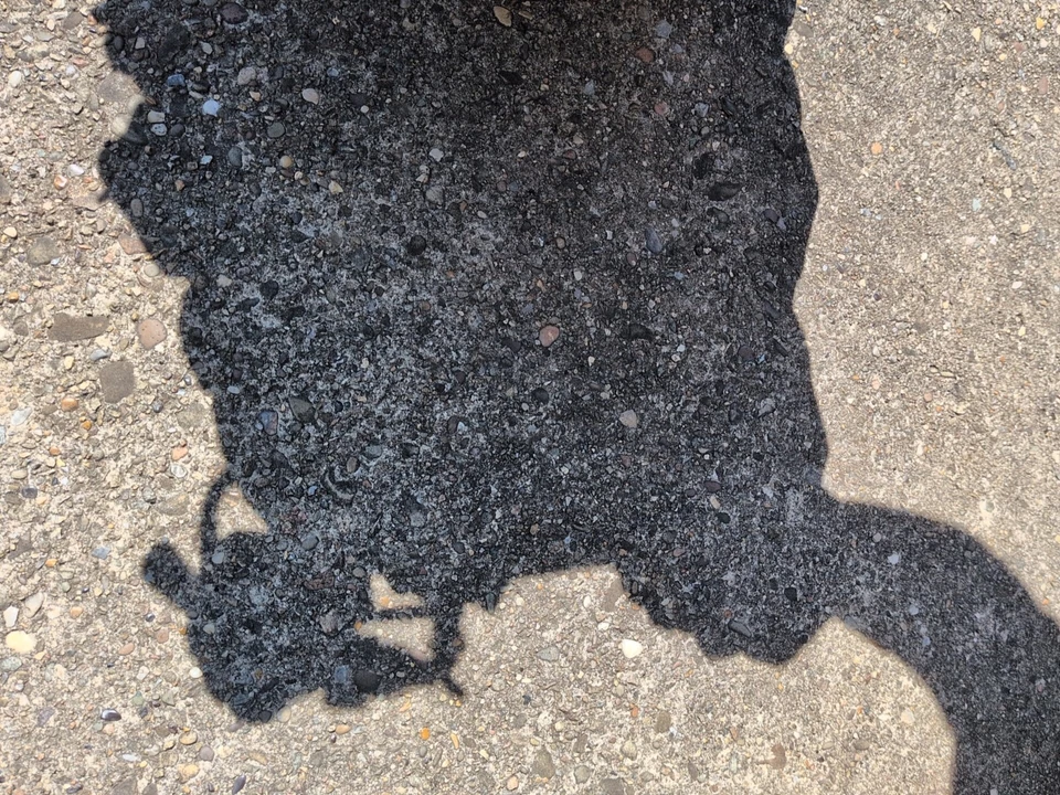 06-08 HYUNDAI SONATA 3.3L Intake Manifold Upper Surge Air Intake Tank Assm OEM Foto 4 de 4