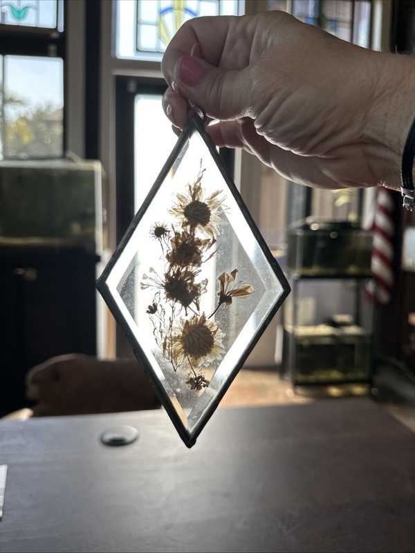 Pressed Dried Flowers Suncatcher 7"x4" Diamond Glass Wall Hanging
