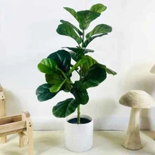 Artificial Fiddle Leaf Fig Indoor Plant Only, Realistic Faux Ficus Lyrata Décor
