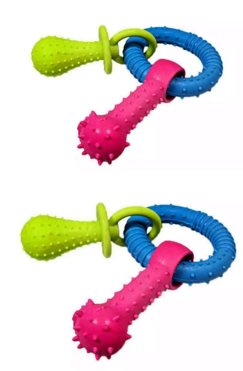 Chew toy training hotsell