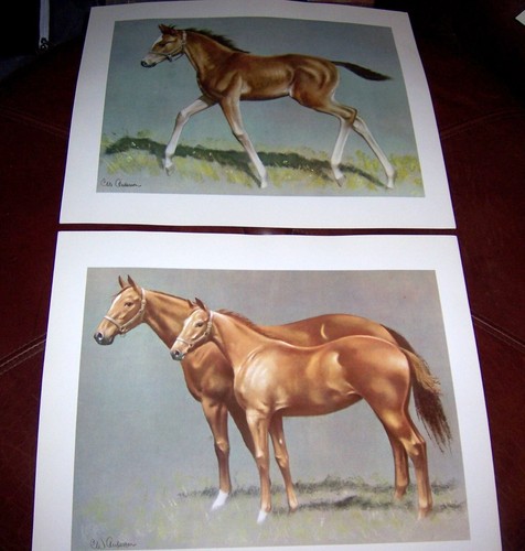 The World of Horses - 8 Vintage Horse Art Prints - C.W. Anderson - Picture 3 of 6