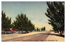 Postcard ROAD SCENE Between Tampa And Clearwater Florida FL d/20 AP2288