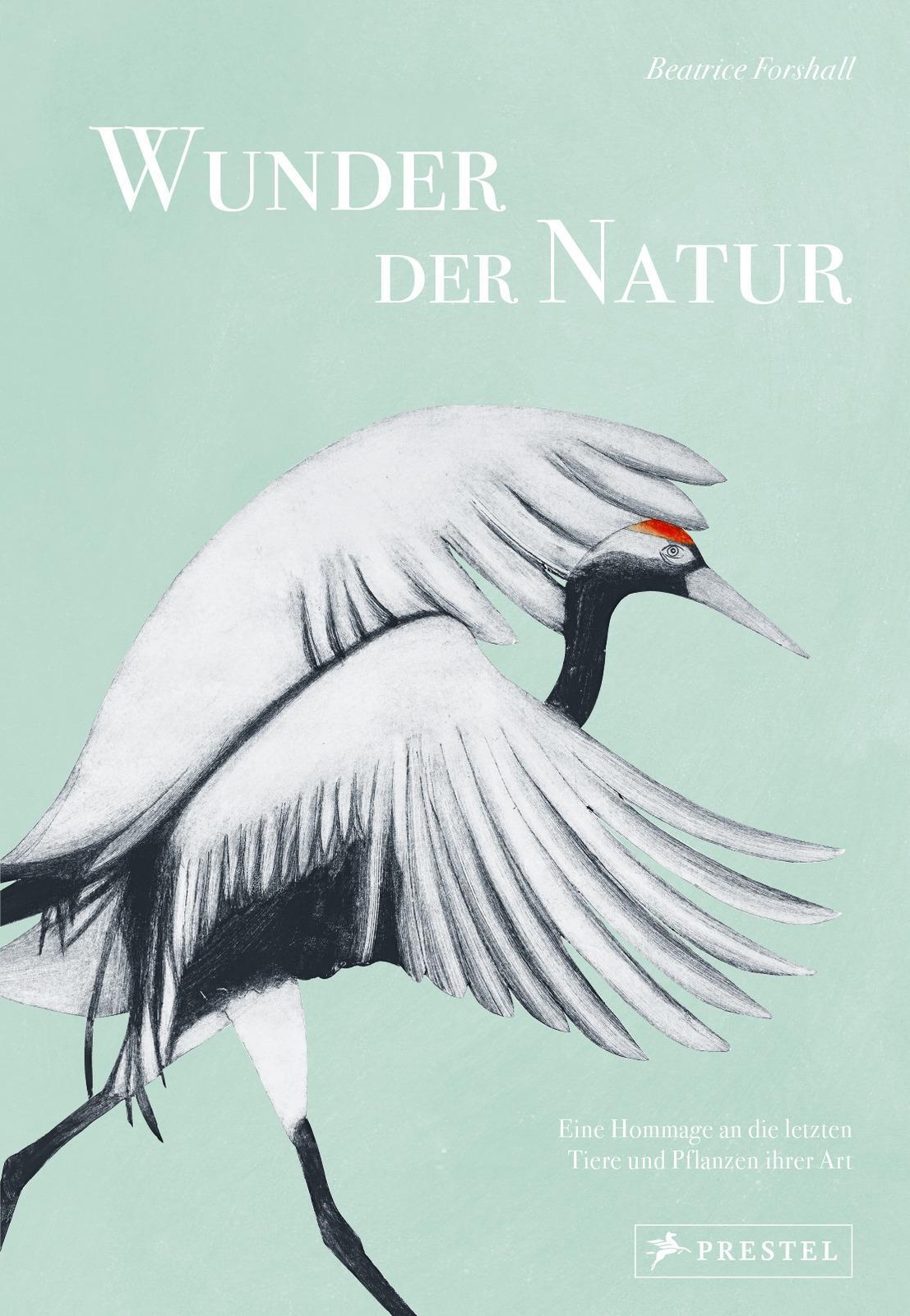 Thumbnail - Wunder Der Natur Beatrice Forshall Buch 256 S. Deutsch 2023 Prestel