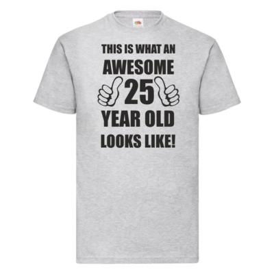 25th 25 Years Old Twenty Fifth Birthday  Presents Mens Funny Awesome T-Shirt