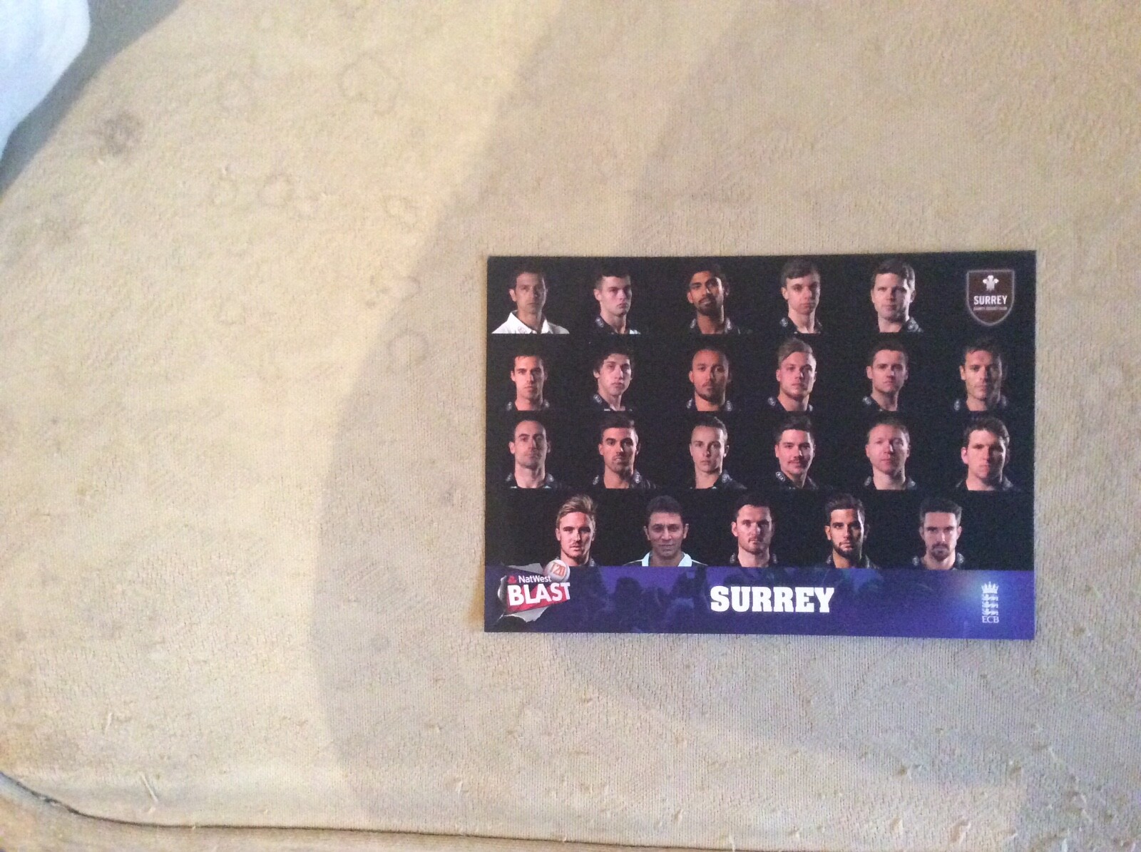 Surrey T20 Cricket 2014 colour autograph card eBay
