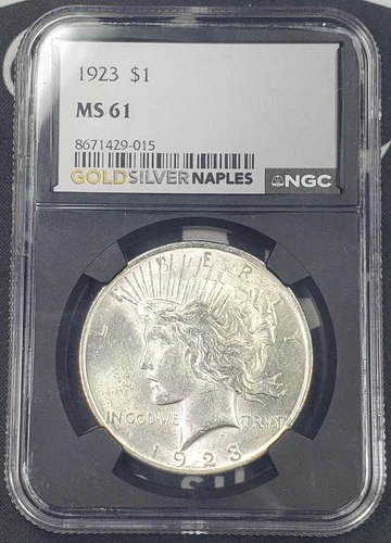 "Fantastic Eye Appeal" 1923-P $1 Silver Peace Dollar - NGC Graded MS 61
