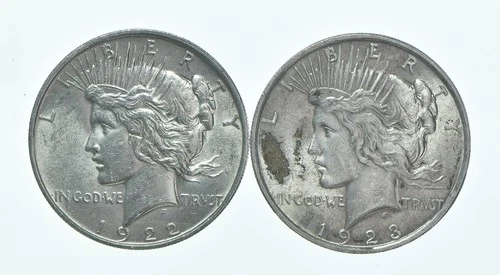 1922 & 1923 Peace Silver Dollar $1 Bullion Collection Lot *100