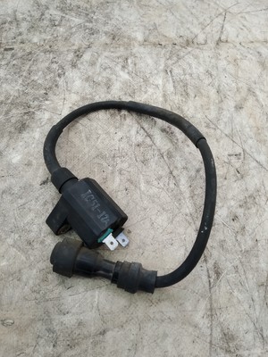 IGNITION COIL FOR BETA EIKON 125- 150 FROM 2002 (e50284)