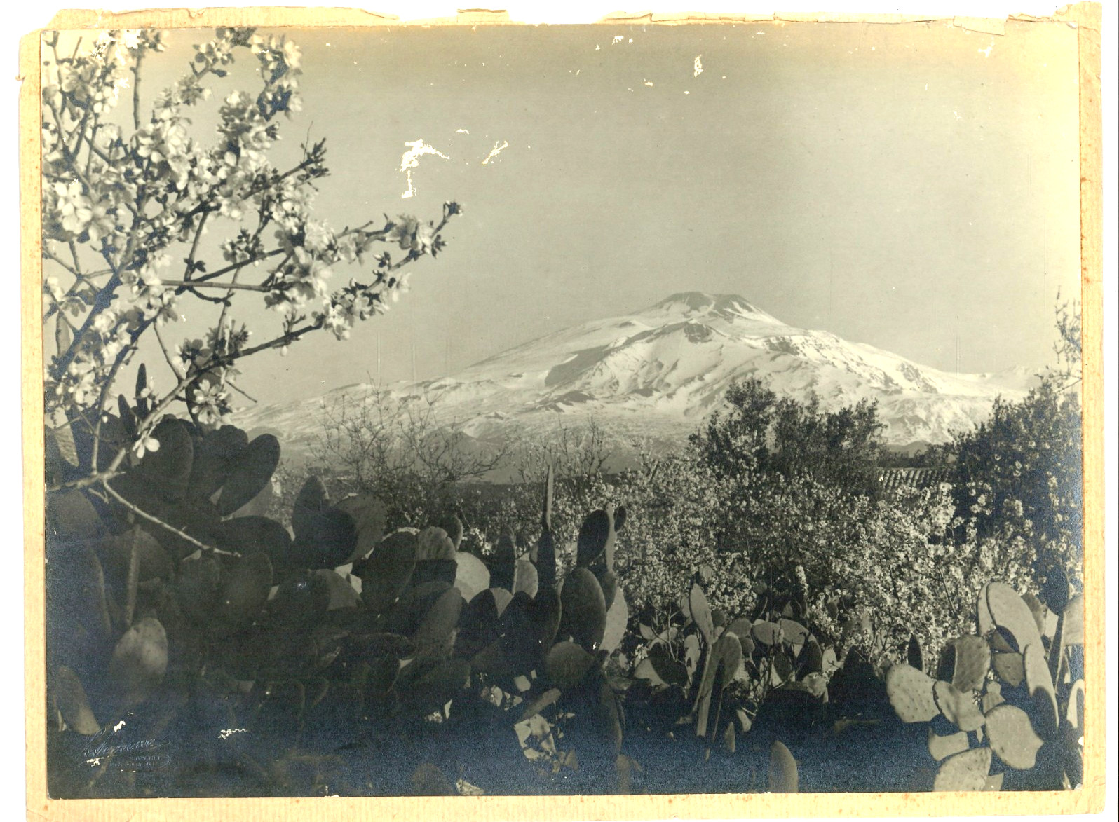 ETNA INNEVATO-ANTICA FOTOGRAFIA STUDIO FOTOGRAFICO LUIGI PIRRONE CATANIA+OMAGGIO