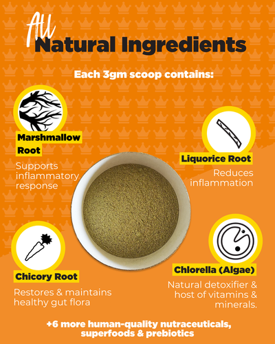 Natural Organic Digestive Probiotics For Dogs | Gut, Itchy Skin, Diarrhea & IBS - Picture 5 of 7