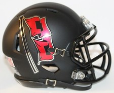2018 Tulsa Golden Hurricanes Custom Riddell Mini Helmet vs USF