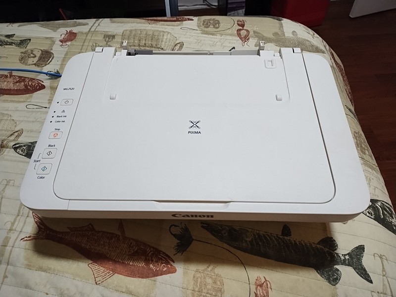 Canon PIXMA MG2522 All-In-One Printer - White