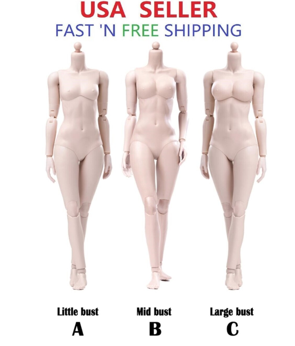 SUPER FLEXIBLE BODY フィギュア Amazon.com: 1/6 Scale Female Body, 12inch Super Flexible