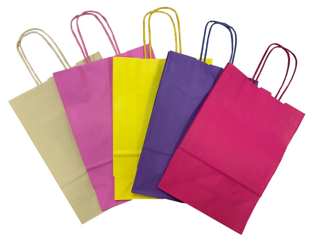 Paper Bags Wedding Favours / Birthday Party / Christmas Loot Gift Bag