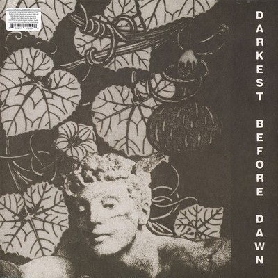 Dark Day - Darkest Before Dawn (Vinyl LP - 2019 - US - Original)