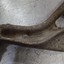 Picture 6 of 10