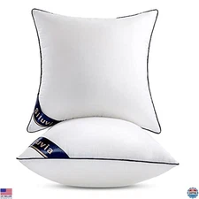 20"x20" Decorative Pillow Inserts Set of 2 Cotton Covers for Sofa & Bed - White