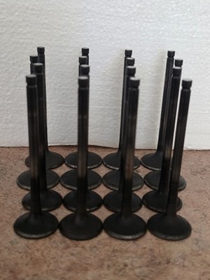 Intake And Exhaust Valves SR20VE SR16VE Nissan NEO VVL