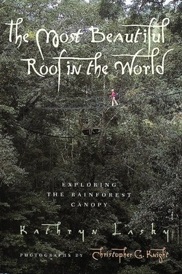 The Most Beautiful Roof in the World: Exploring the Rainforest Canopy - pape...
