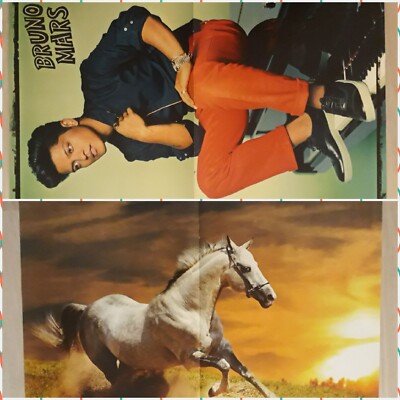 Bruno Mars Pferd Poster Sammlung Konvolut Gr. M