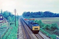 PHOTO  CLASS 52 WESTERN EMPIRE D1059 AT SULAMSTEAD 2ND MAY 1975