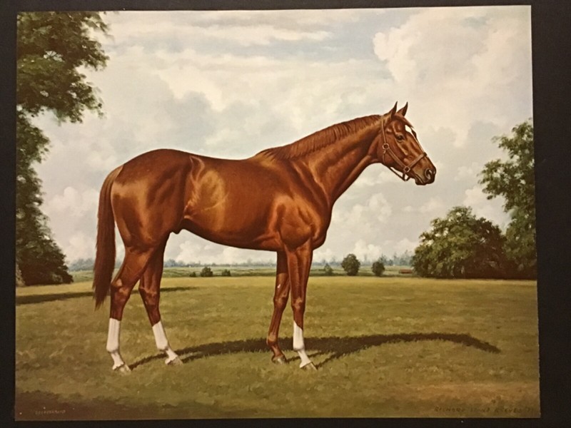 SECRETARIAT  15 x 12 Photo  Horse Racing 1973 Triple Crown