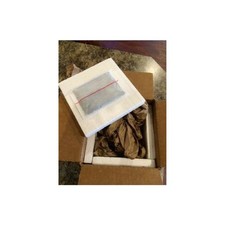 MultiPurpose 40Hour Heat Pack For Shipping Plants Insects Reptiles 5 PCS