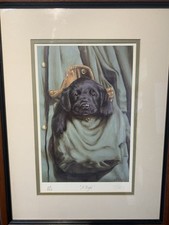 A super Paul Doyle limited edition puppy picture.