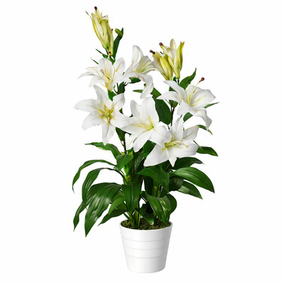 Künstliche Pflanze Realistisch Weiß 90cm (3ft) Premium Indoor Home Decor Büro UK