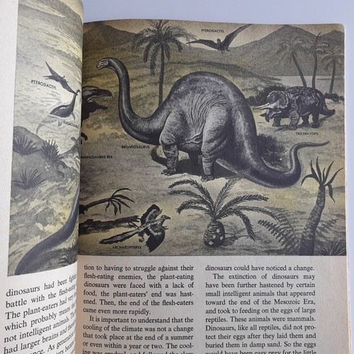 The How and Why Wonder Book, Primitive Man, 3x Vintage Paperback, Donald Barr - Picture 15 of 22