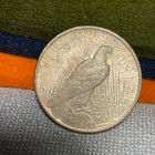 (#100748)  Peace Dollar:  1923.  bu. old envelope toning     (see video!) — photo 2