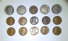 Indian Cent, Buffalo, Jeffersons, V Nickel, Wheat Cents. Lot Of 15 Coins