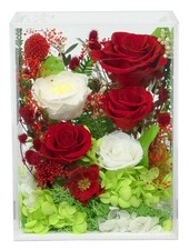 Long-Lasting Real Flowers, Handcrafted Preserved Rose Bush For you to Send Lo...