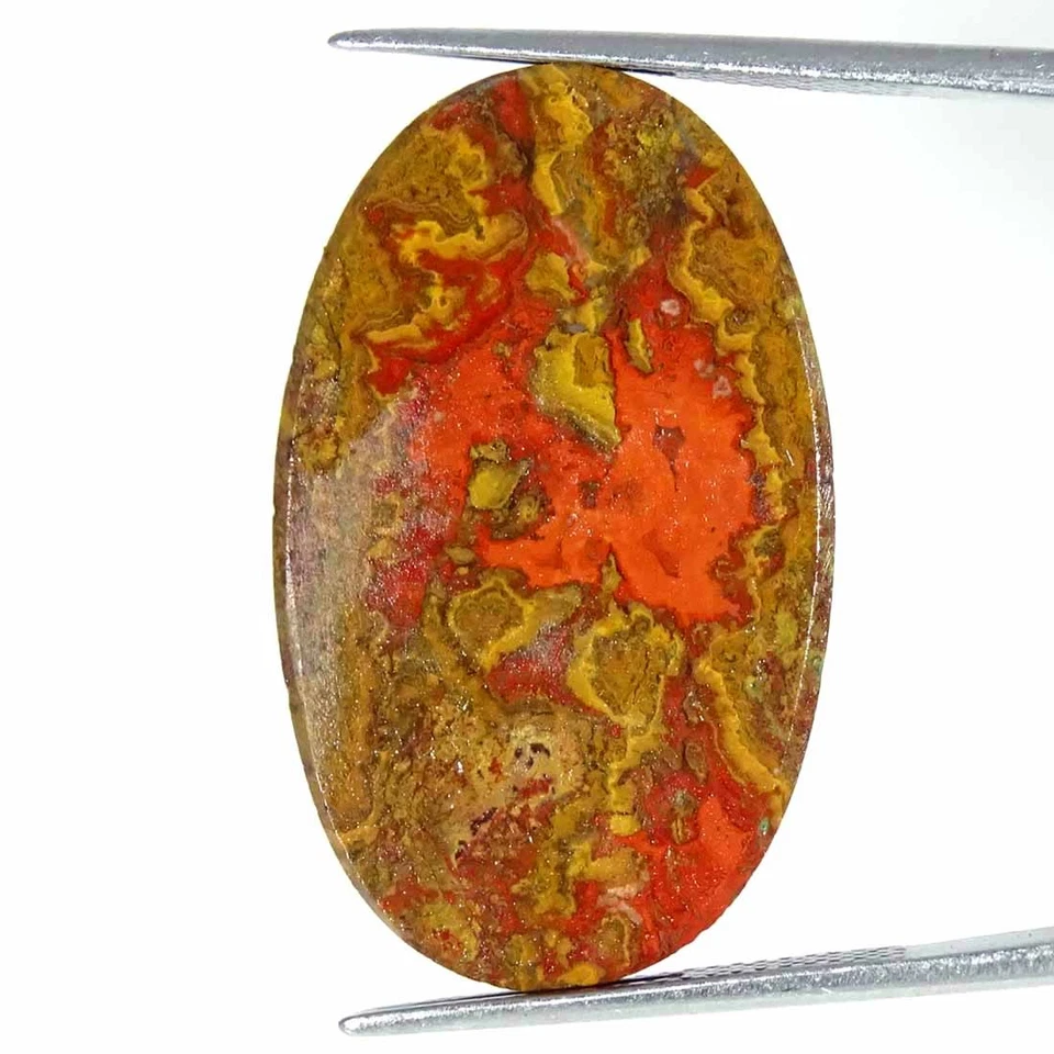 22.20Cts Natural Morocco Seam Agate Oval Cab Loose Gemstone 18x30x5mm - Image 2 of 4