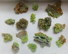 several pcs of flowery green pyromorphite crystal mineral specimen Daoping,China