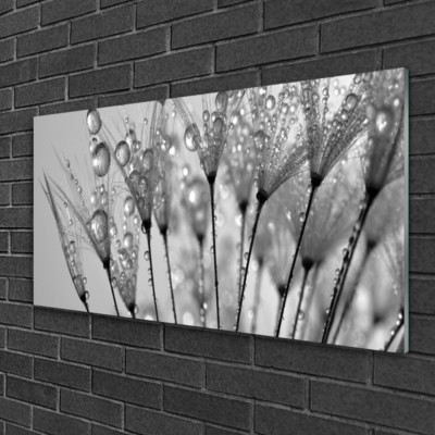 Tableau Photo Sur Toile "Floral Pissenlits" - 100 X 50 Cm, Impression Moderne Neuve