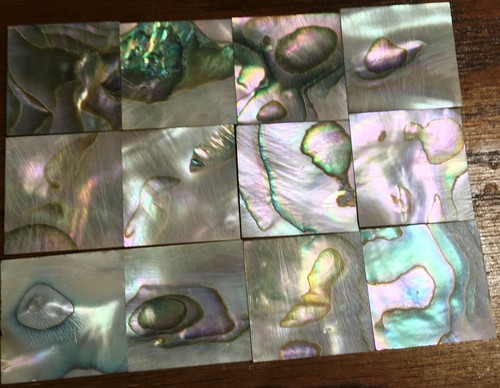 28.5 grams (12pcs) Abalone Fretboard Inlay NOS Gibson Kalamazoo Factory Lot-6 - Picture 2 of 5