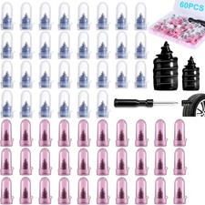 60 PCS Premium Tire Repair Rubber Nails Kit, Portable Screw in Tire Plugs with S