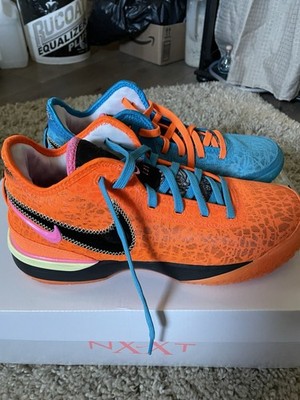 Nike Lebrons Size 10.5