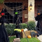 Imagen 8 de 11