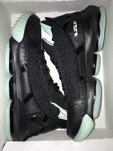 nike lebron xvi sb