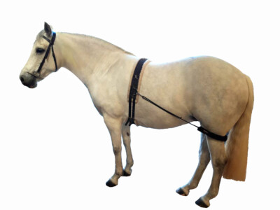 Hock Elevation Band mit abnehmbaren 100% Wollärmeln