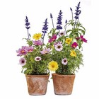 Fensterbild selbsthaftend Fenstersticker Blumentopf Fensterdeko SONDERPREIS