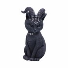 Pawzuph Winged Occult Gothic Witchcraft Cat Figurine by Nemesis Now